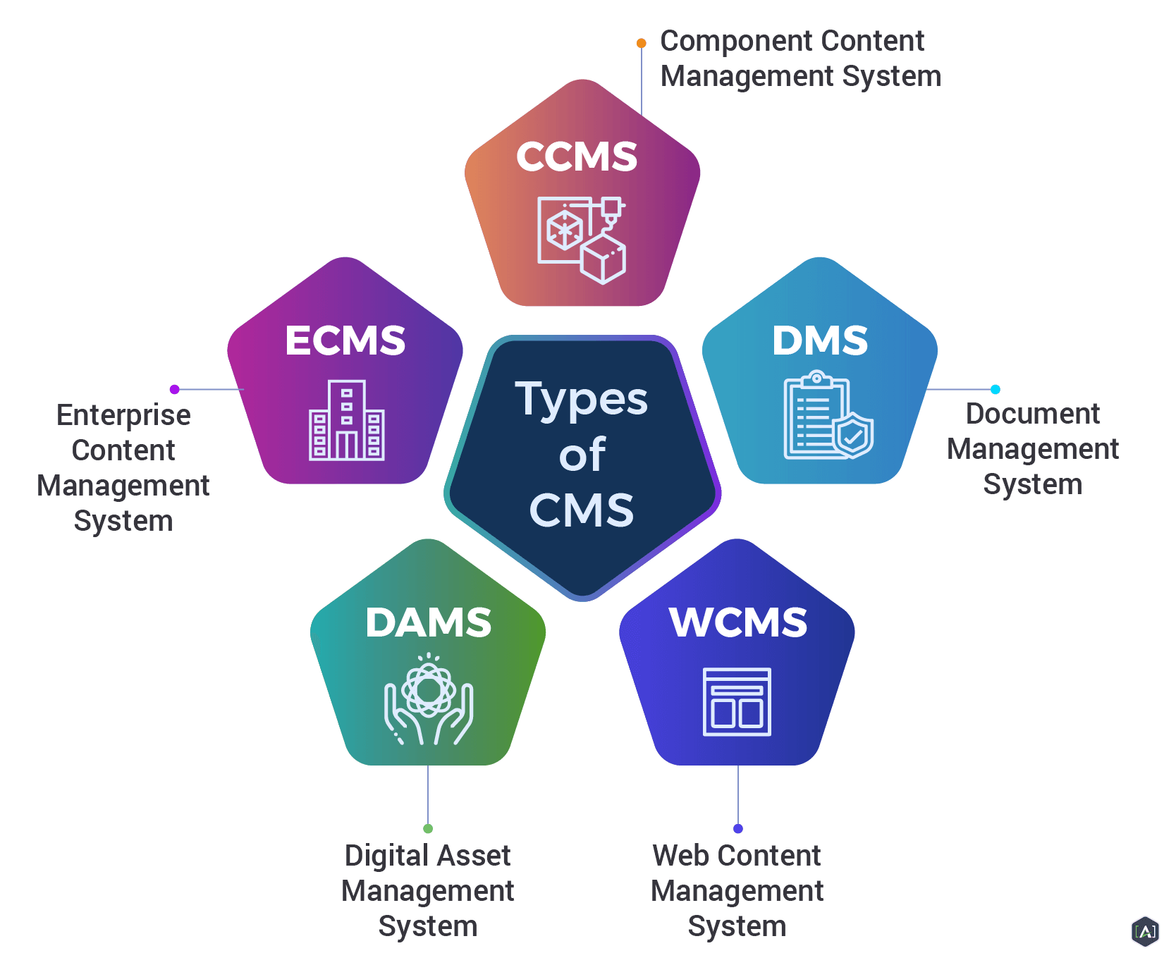 CMS & Platforms